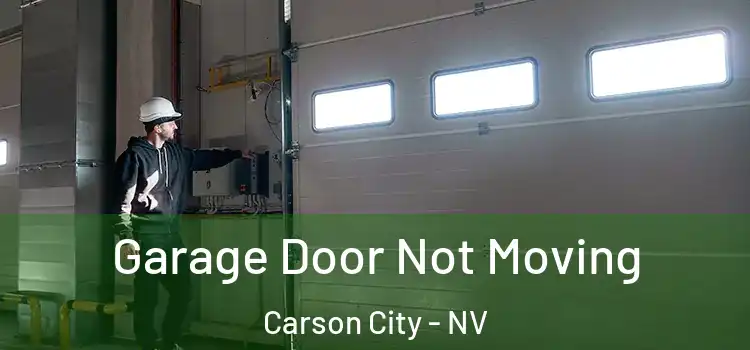  Garage Door Not Moving Carson City - NV