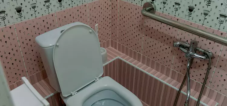 Meeting Diverse Needs With Accessible Restroom Solutions in Carson City, NV