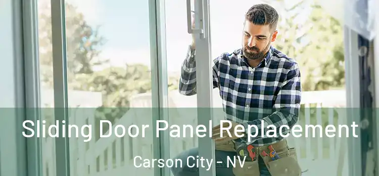  Sliding Door Panel Replacement Carson City - NV
